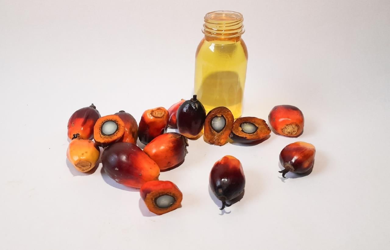 CPKO Prices Rise Amid Strong Demand and Middle East Tension